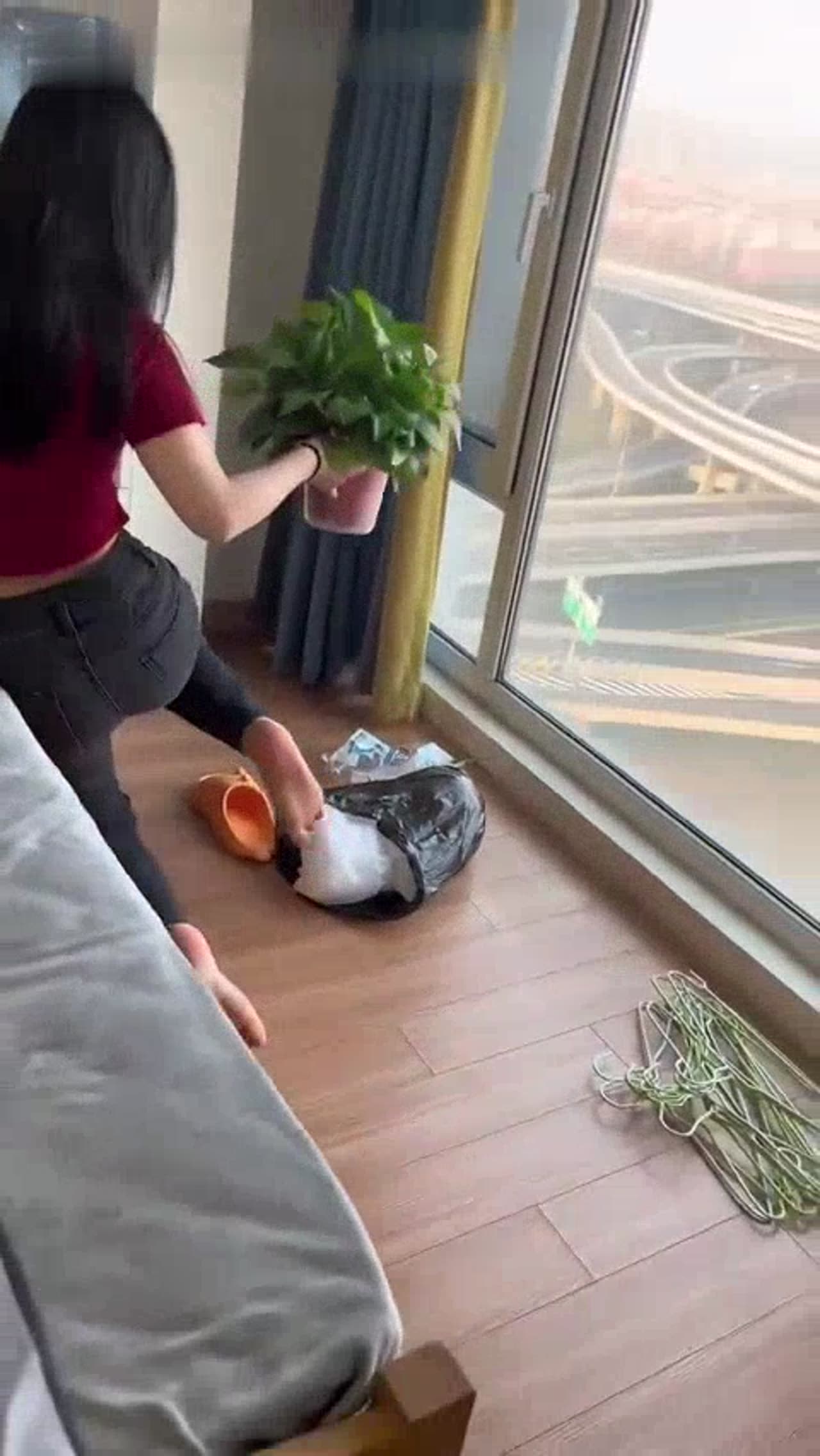 这是非现实的美貌吧-blog